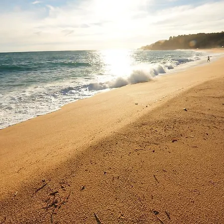 Homeholidaysrentals Lloret Ii